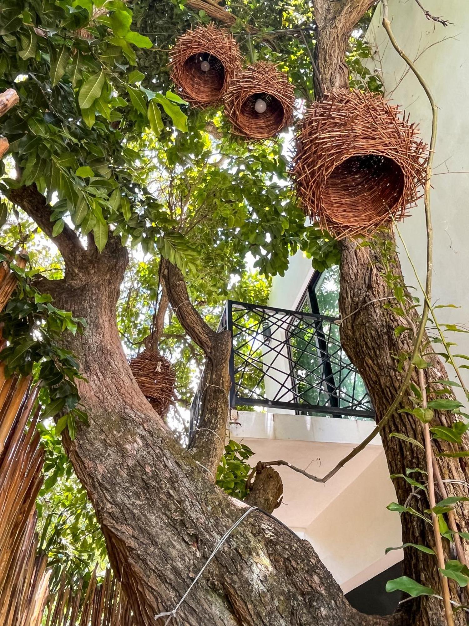 Hotel Kookay Valladolid Βαγιαδολίδ Εξωτερικό φωτογραφία